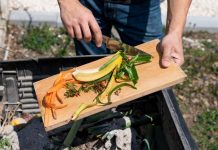 Сокращение пищевых отходов: простое руководство по устойчивой утилизации