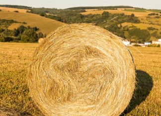 Что такое сеновязальная сетка?