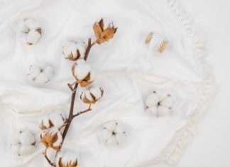 Покупка хлопка: все, что нужно знать