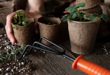 Гроутент для растений: как обеспечить им идеальные условия