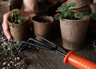 Гроутент для растений: как обеспечить им идеальные условия