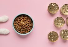 Перфект Фит: Идеальный Корм для Ваших Кошек