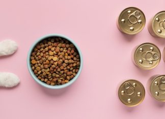 Перфект Фит: Идеальный Корм для Ваших Кошек