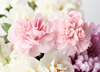 Покупка цветов: какие особенности