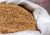 Ячмень оптом, индивидуальные решения для потребностей