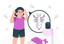 Единая городская служба дезинфекции и обработка от клещей: цена и особенности