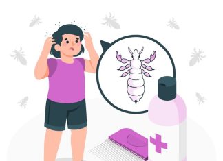 Единая городская служба дезинфекции и обработка от клещей: цена и особенности