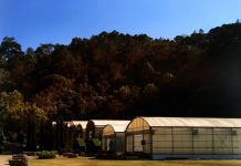 Как построить теплый склад в Подмосковье: Практическое руководство