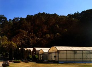 Как построить теплый склад в Подмосковье: Практическое руководство