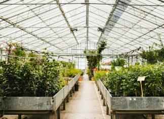 Теплицы прямостенные: идеальный выбор для вашего огорода