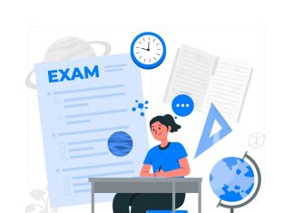 Подготовка к TOEFL: как успешно сдать экзамен и не потерять голову