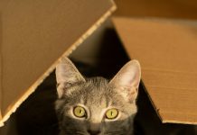 Картонные коробки из гофрокартона: обзор типов и применений