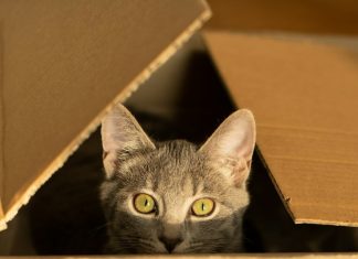 Картонные коробки из гофрокартона: обзор типов и применений