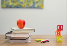 Какие профессии невозможно освоить без высшего образования