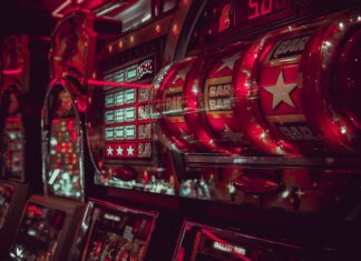 Всё, что нужно знать о ставках: от новичка до профи