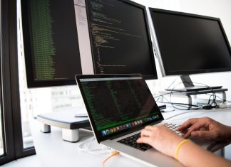 Взять верный старт в обучении: как выбрать правильный путь в IT?