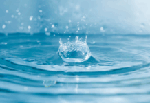 Обезвоживание осадков сточных вод: современные технологии и оборудование